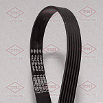 TFB1193 TATSUMI Ремень поликлиновой 6PK2195